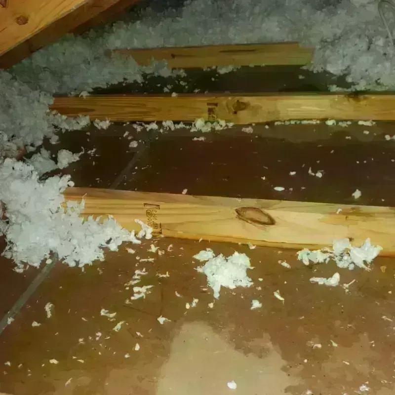 Attic Water Damage in Hockley County, TX